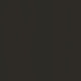 887 Raw Umber
